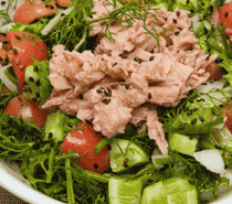 Fresh Tuna Salad