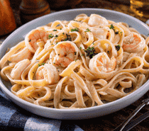 Shrimp Alfredo